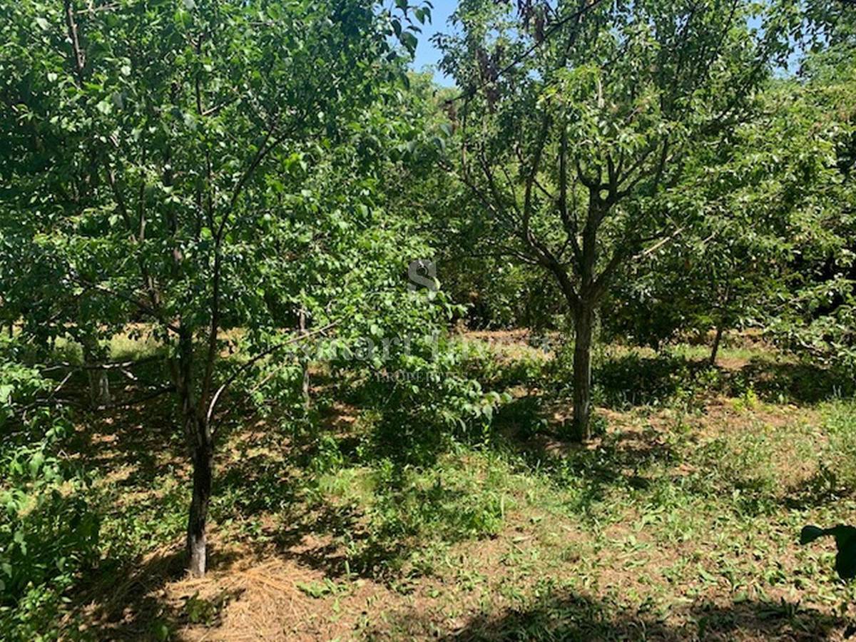IČIĆI - POLJANE, Gradbeno zemljišče 2.320 m2 na lepi mirni lokaciji