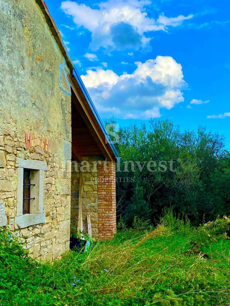 Zemljišče Hum, Buzet, 2.257m2