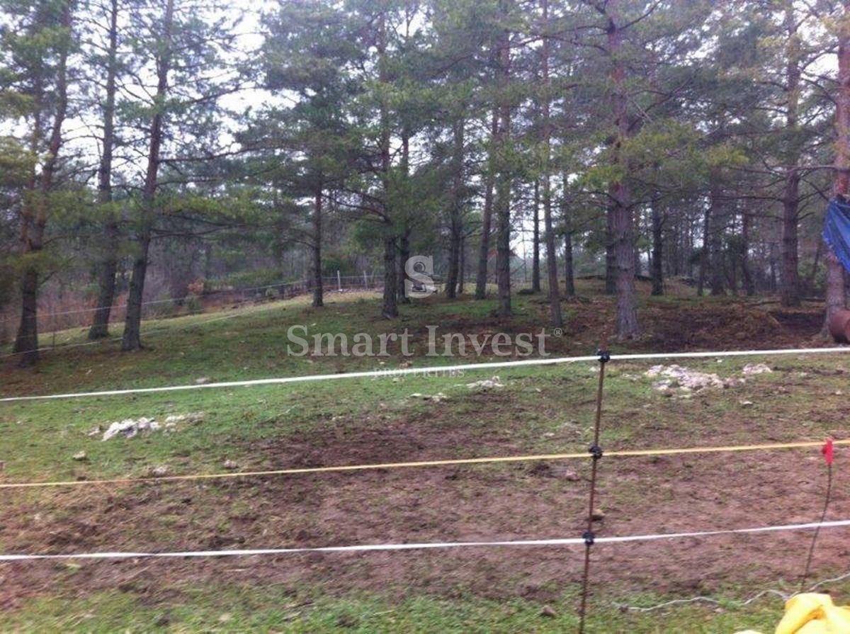 Zemljišče Rupa, Matulji, 16.000m2
