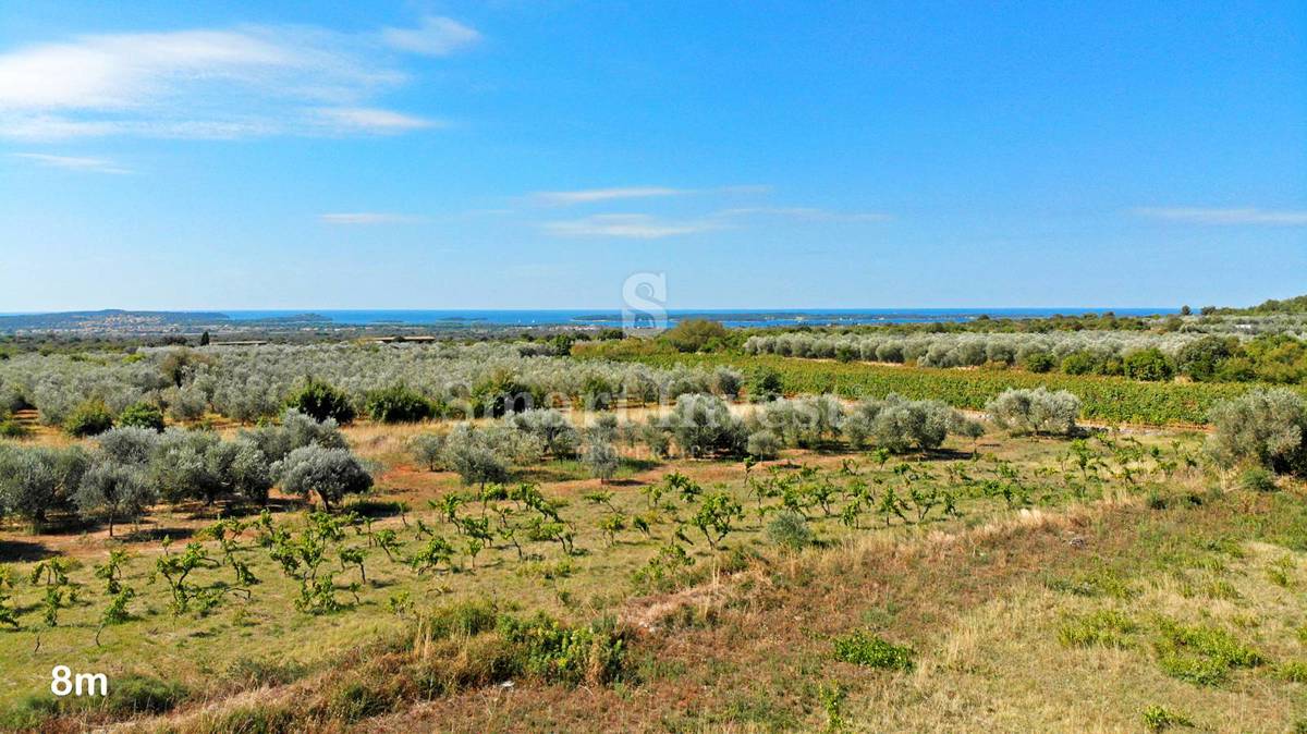 ISTRIA – VODNJAN, LUXURY 4-BEDROOMS VILLA WITH SEA VIEW (V3)