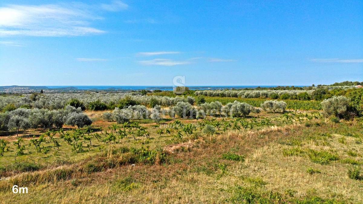 ISTRIA – VODNJAN, LUXURY 4-BEDROOMS VILLA WITH SEA VIEW (V3)