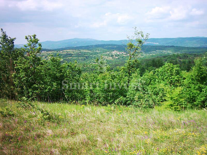 ISTRIA, Estate of 83.294 m2, including 4.500 m2 building land