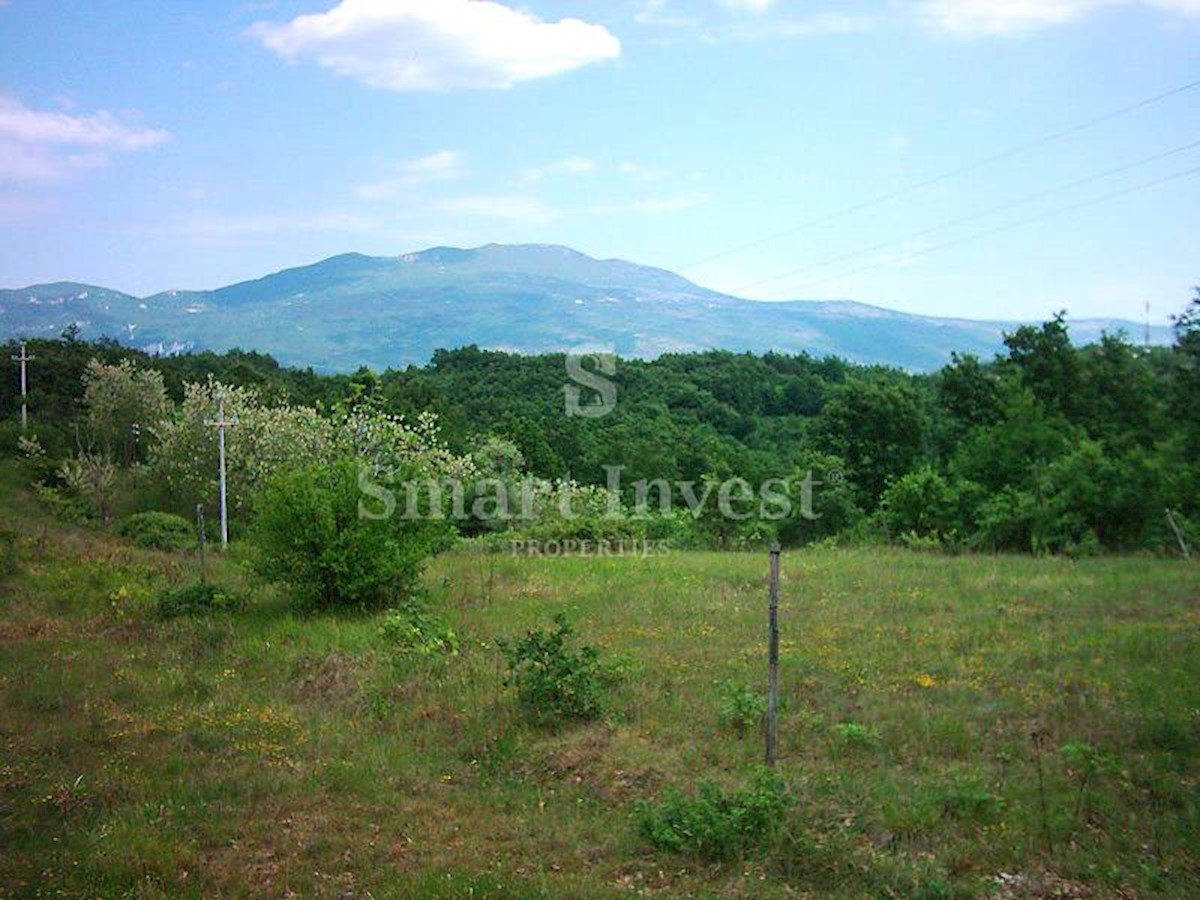 ISTRIA, Estate of 83.294 m2, including 4.500 m2 building land