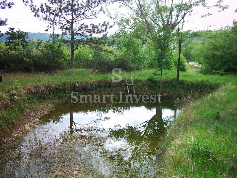 ISTRIA, Estate of 83.294 m2, including 4.500 m2 building land