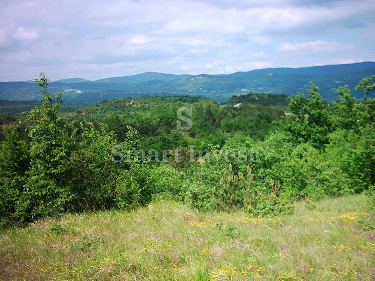 ISTRIA, Estate of 83.294 m2, including 4.500 m2 building land