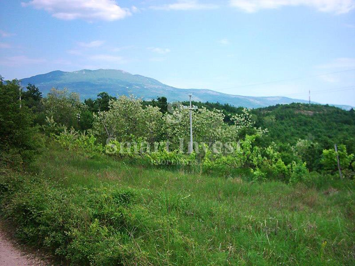 ISTRIA, Estate of 83.294 m2, including 4.500 m2 building land