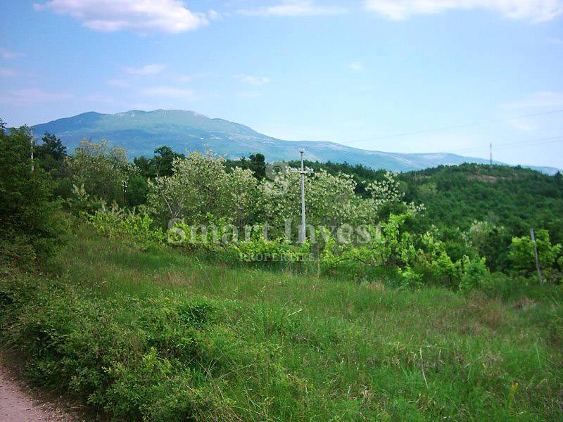 ISTRIA, Estate of 83.294 m2, including 4.500 m2 building land