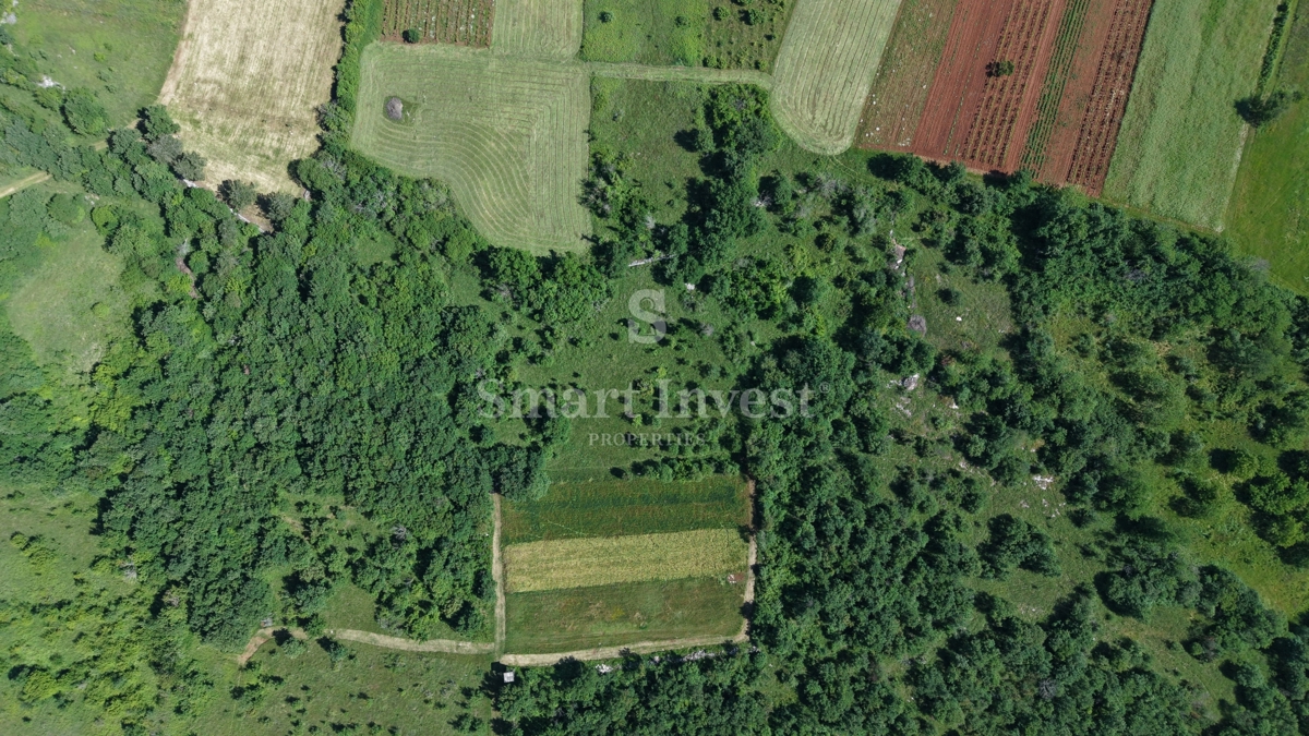 ISTRA - VIŠNJAN, kmetijsko zemljišče velikosti 5694 m2