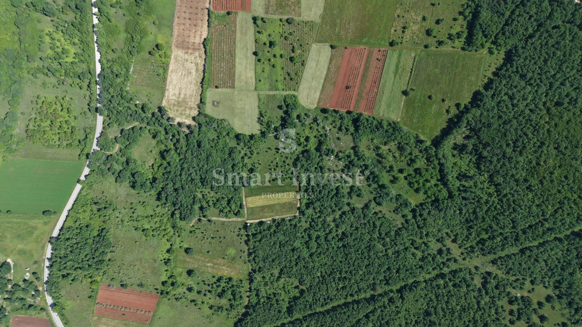 ISTRA - VIŠNJAN, kmetijsko zemljišče velikosti 5694 m2