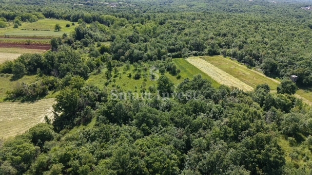 ISTRA - VIŠNJAN, kmetijsko zemljišče velikosti 5694 m2