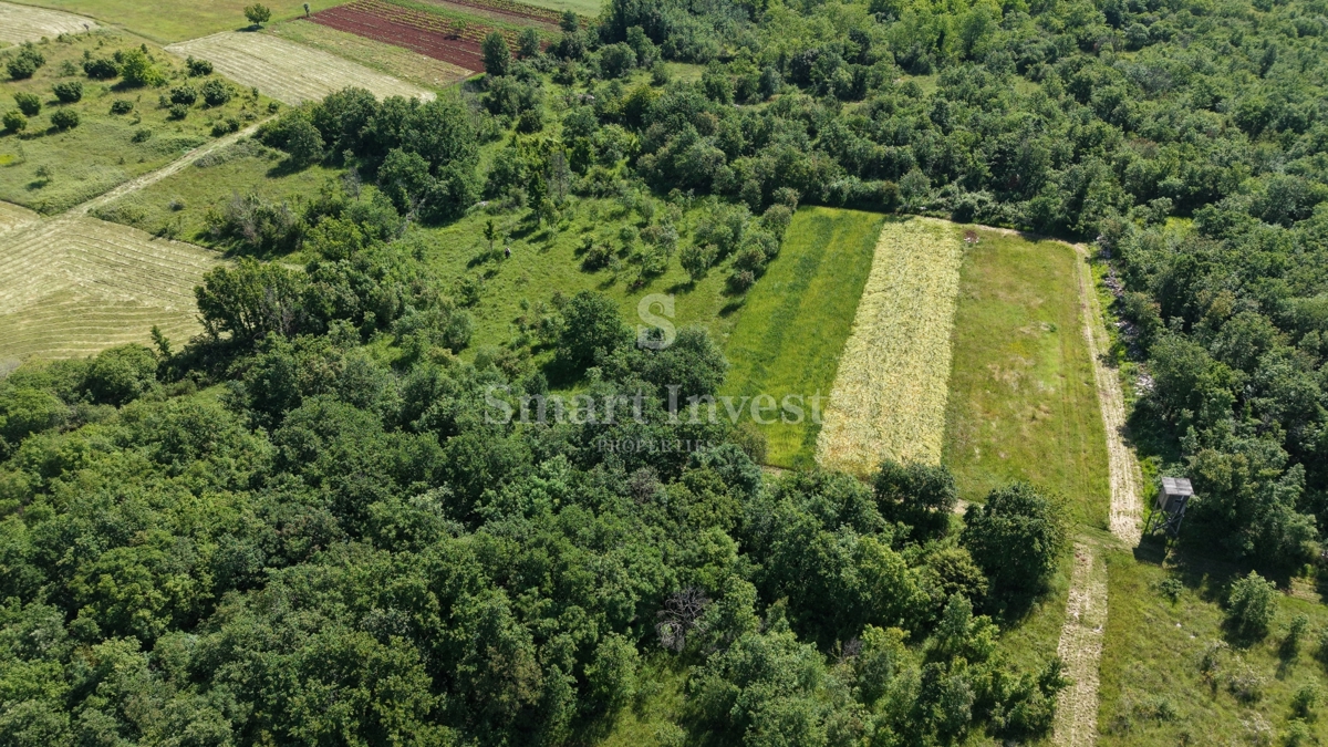 ISTRA - VIŠNJAN, kmetijsko zemljišče velikosti 5694 m2