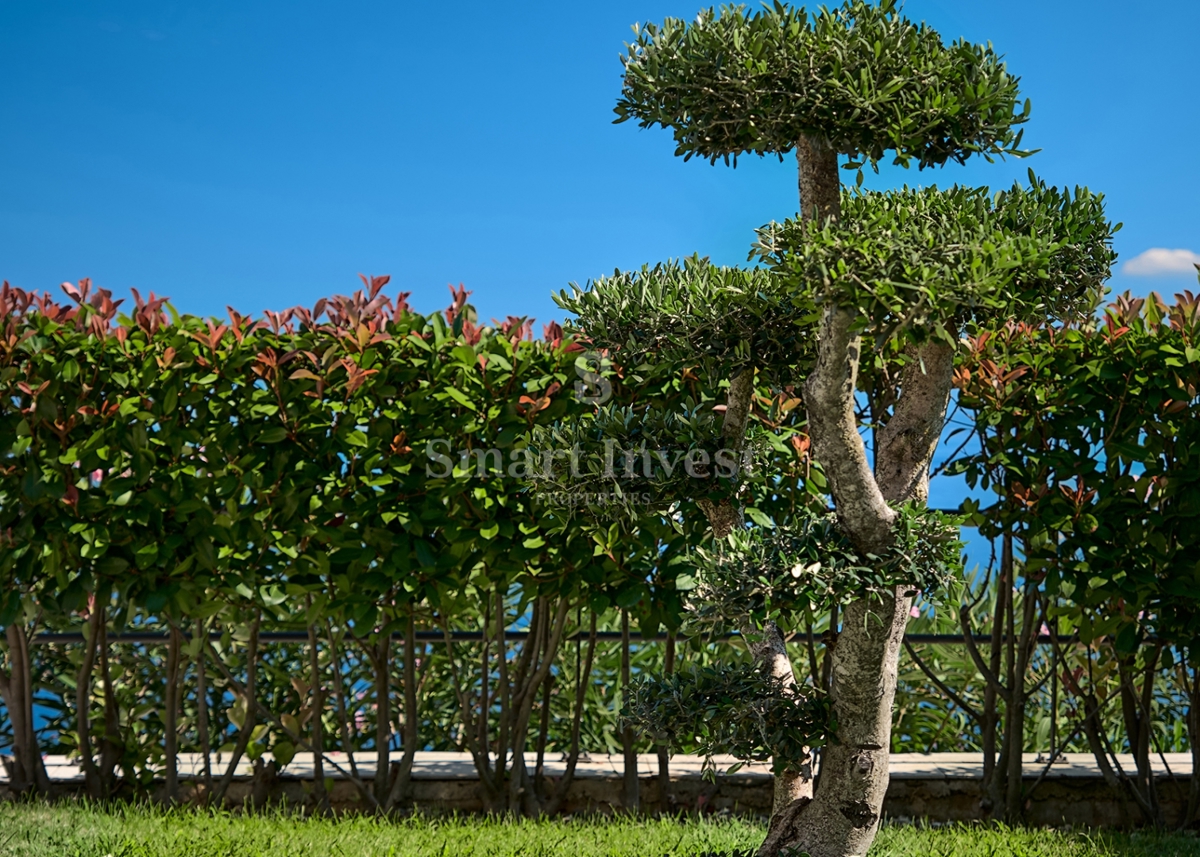 OPATIJSKA RIVIERA, ekskluzivna vila z bazenom in panoramskim pogledom na morje