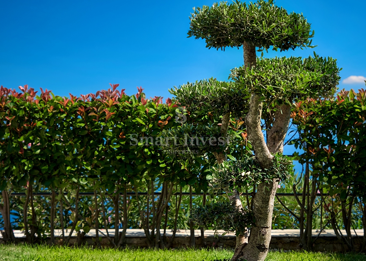 IČIĆI, ekskluzivna vila z bazenom in panoramskim pogledom na morje