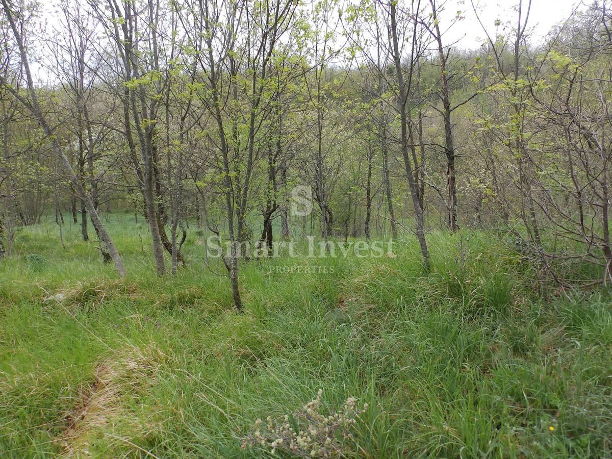 Zemljišče Kosi, Viškovo, 5.144m2