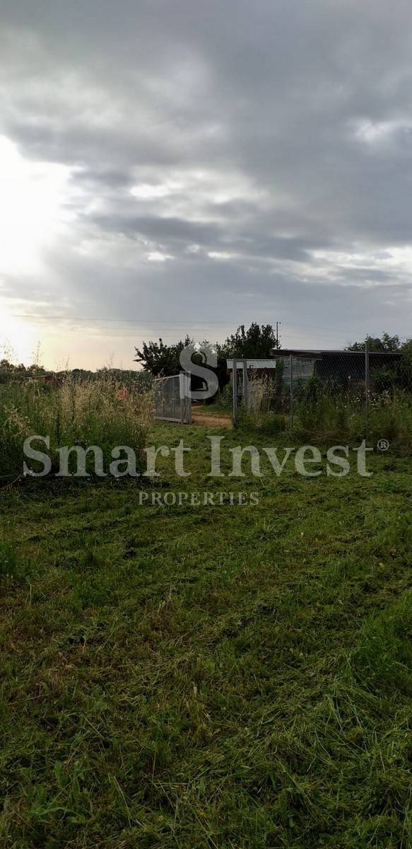 UMAG, parcela s starimi oljkami - EKSKLUZIVNO V NAŠI AGENCIJI