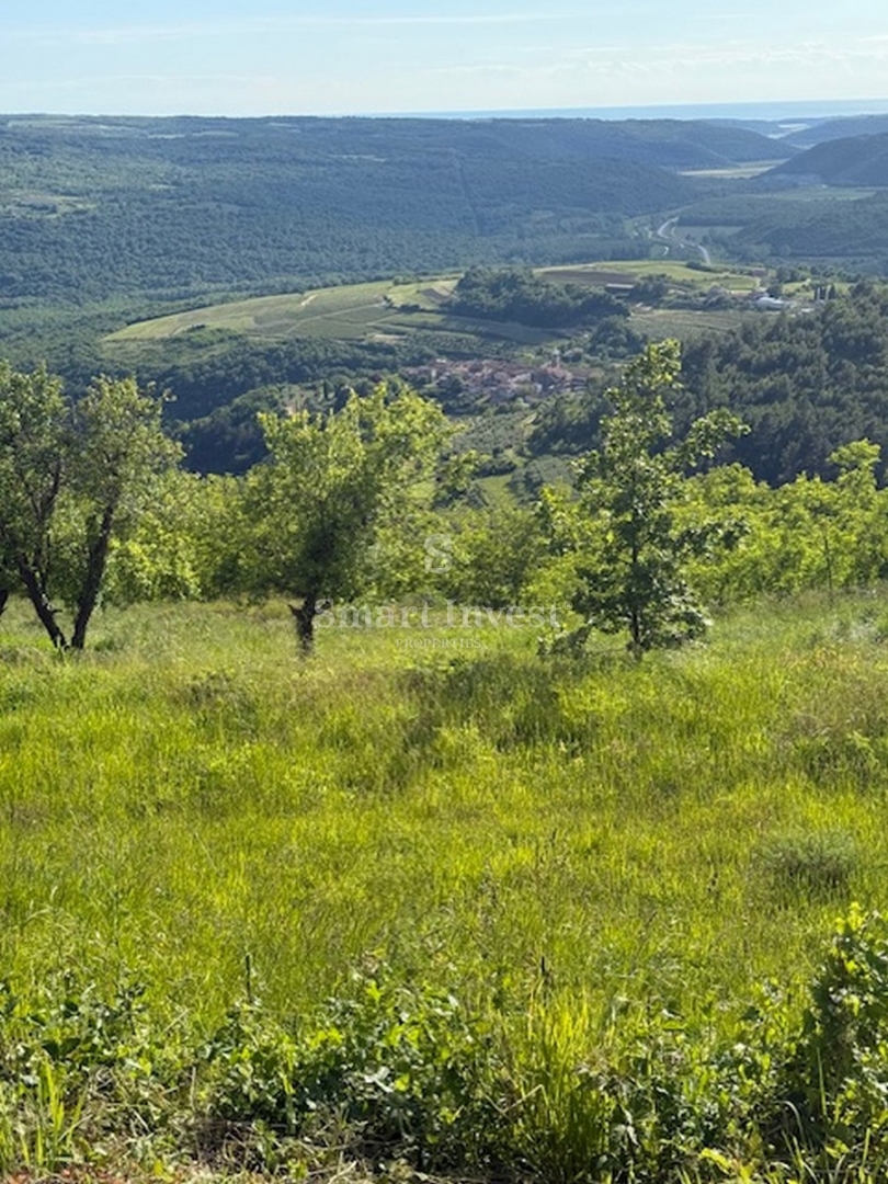 Zemljišče Završje, Grožnjan, 3.400m2