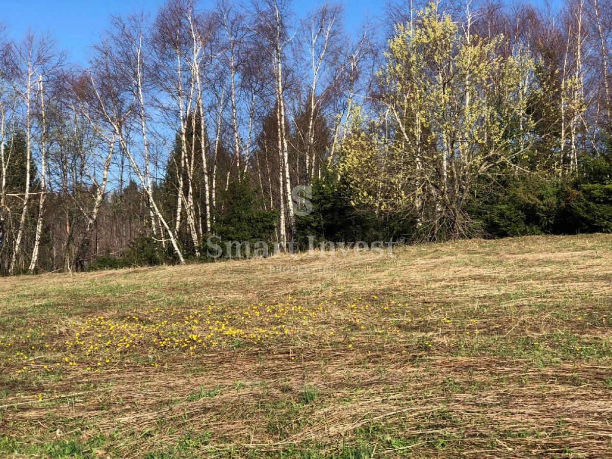 Zemljišče Ravna Gora, 85.000m2