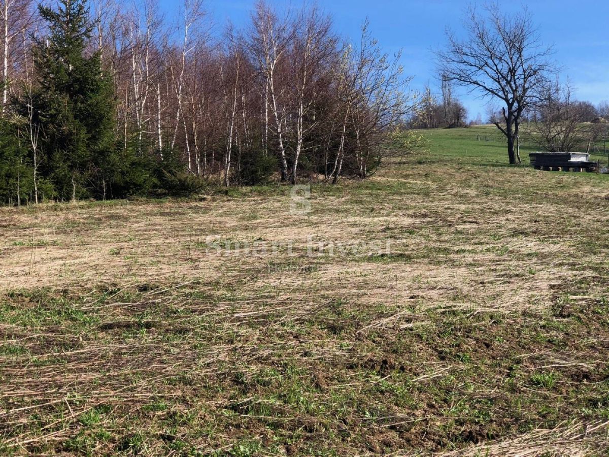Zemljišče Ravna Gora, 85.000m2