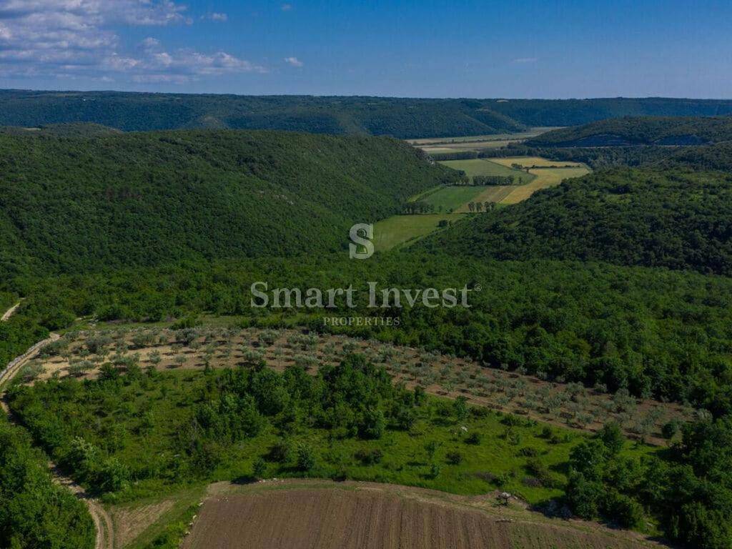 Hiša Buje, 150m2