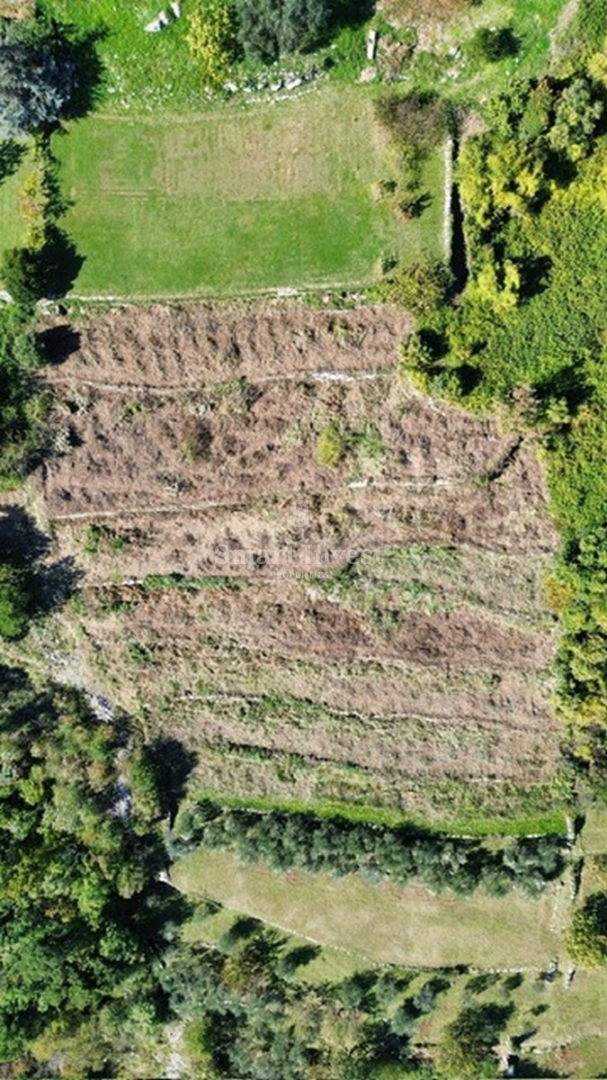 IČIĆI - POLJANE, zemljišče z gradbenim dovoljenjem za 3 vile z bazeni