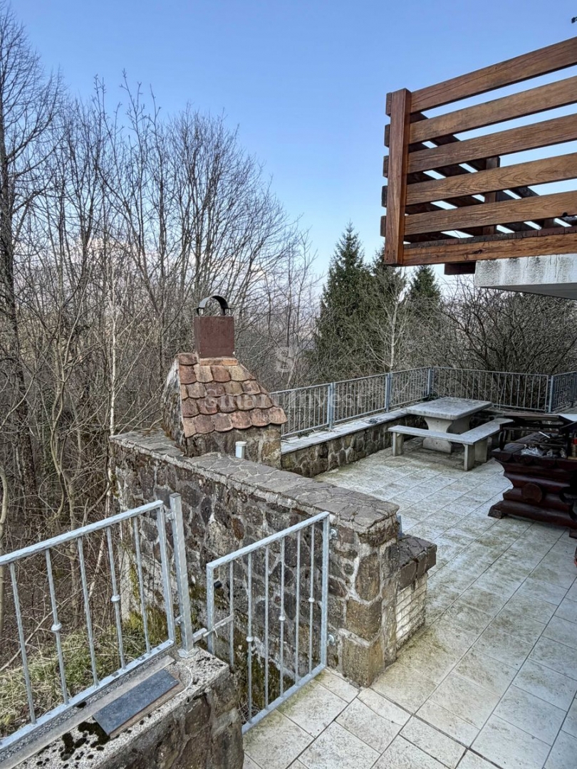 DELNICE, očarljiva lesena hiša, obdana z naravo