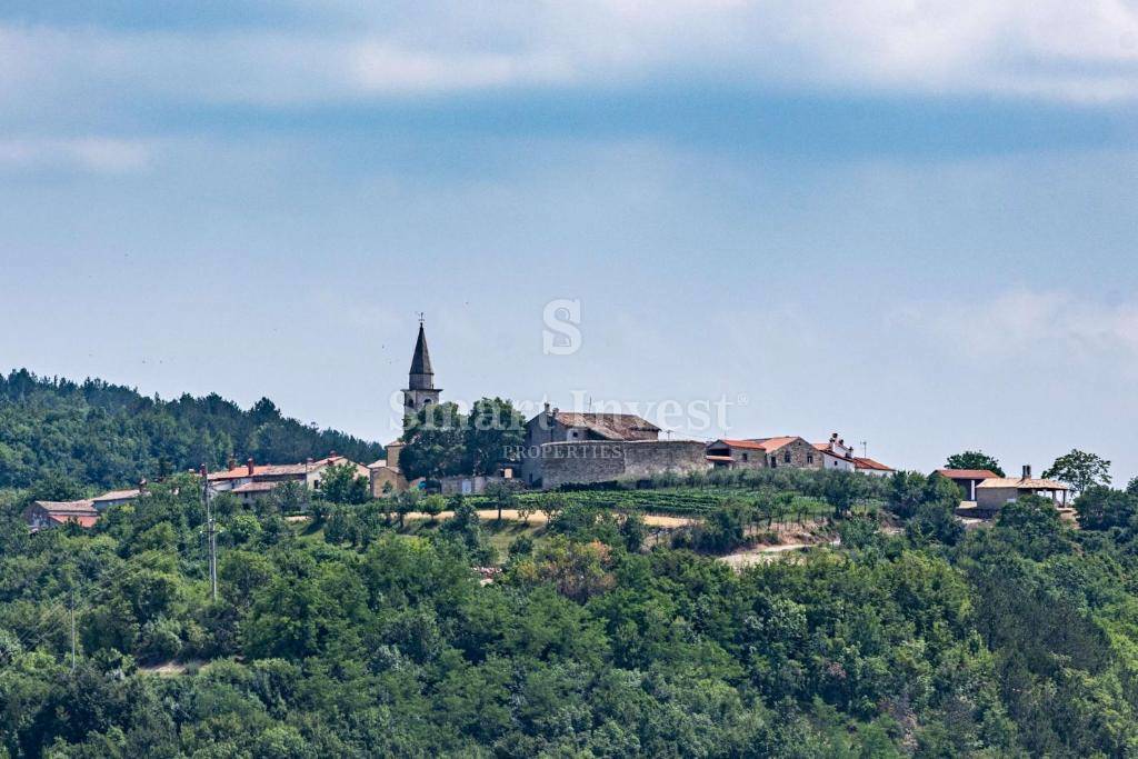 ISTRA - DRAGUĆ, Luksuzna samotna sredozemska posest, 20.000 m2!
