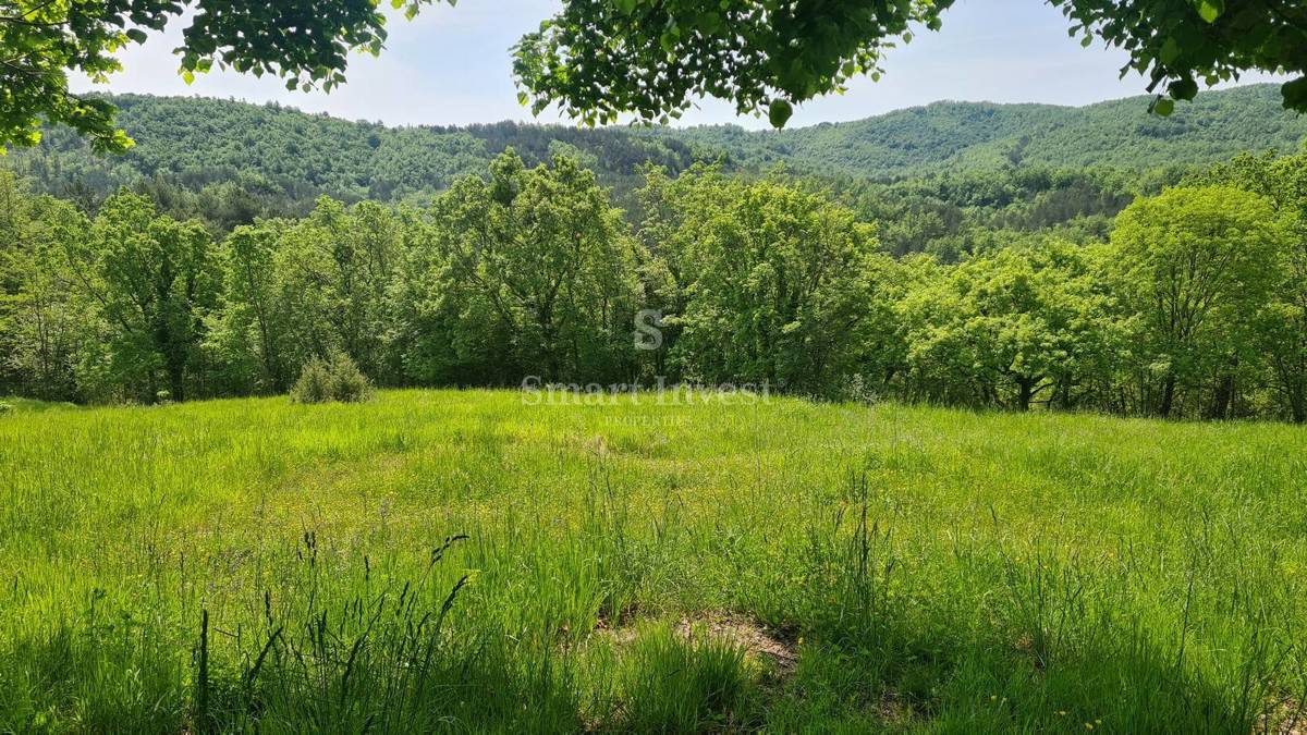 ISTRIA, HUM - BUZET, Two old houses of 500 m2 on land of 19.600 m2