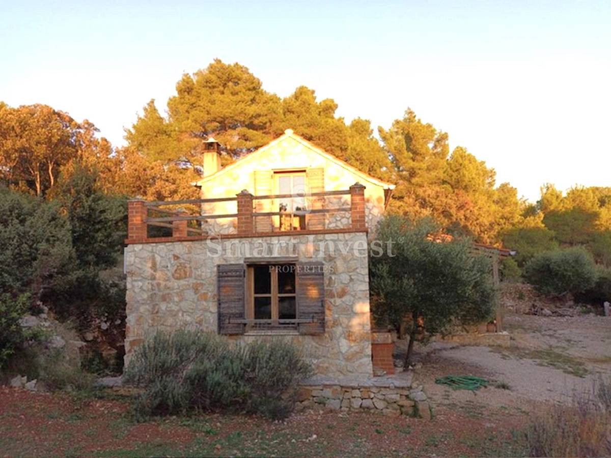 OTOK VIS, kamnita hiša s 5000 m2 zemljišča