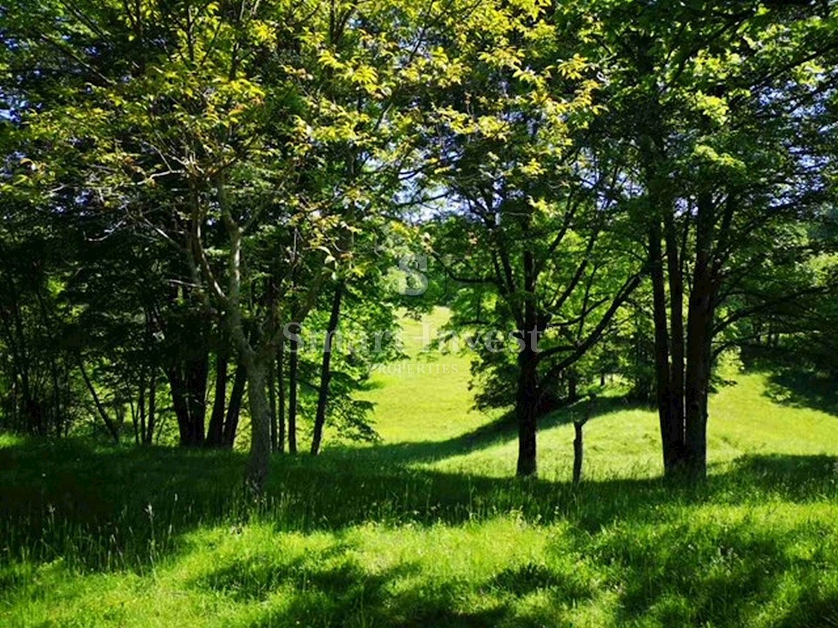 Zemljišče Viškovo, 6.039m2