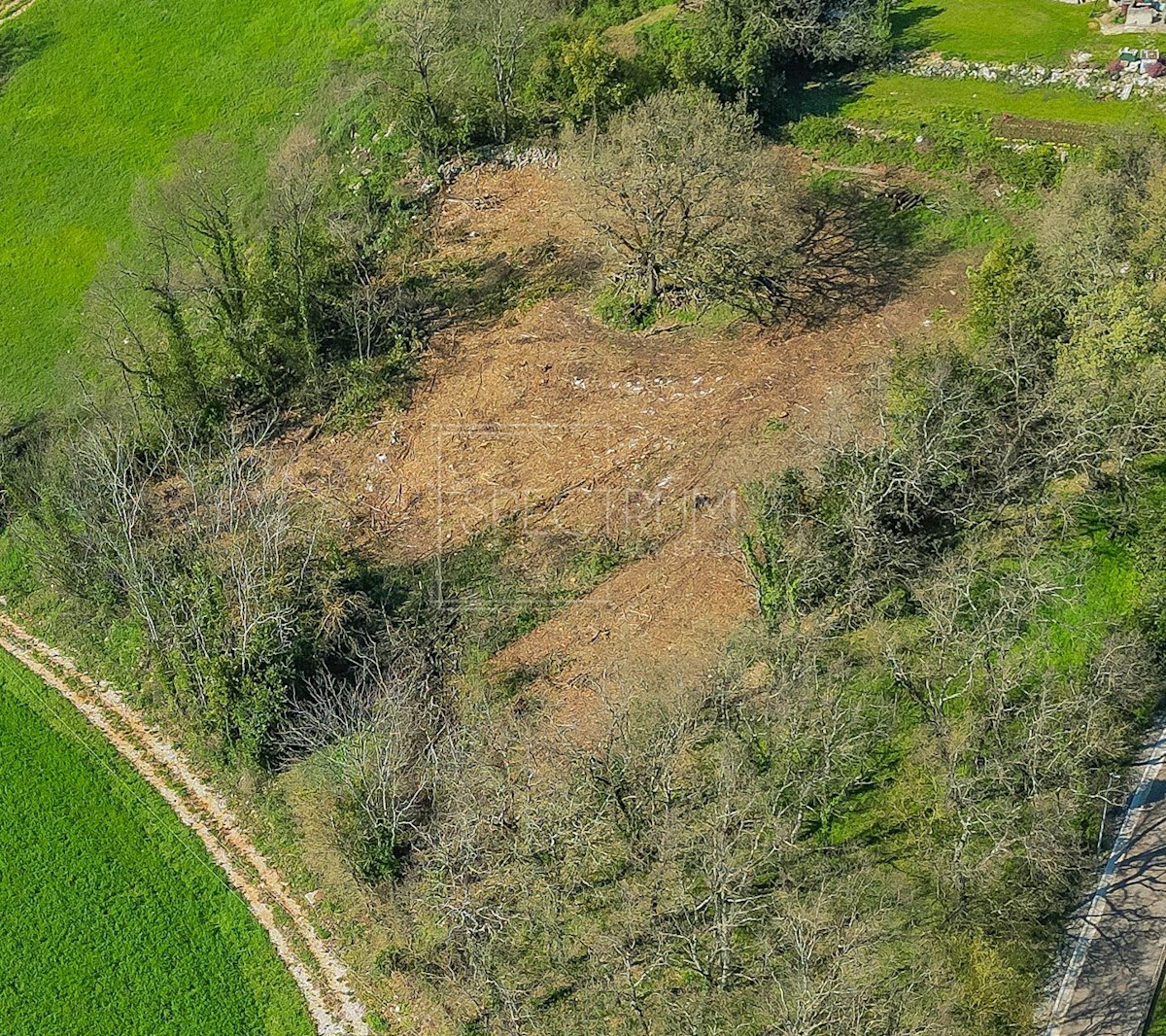 Okolica Novigrada, zazidljivo zemljišče s potencialom