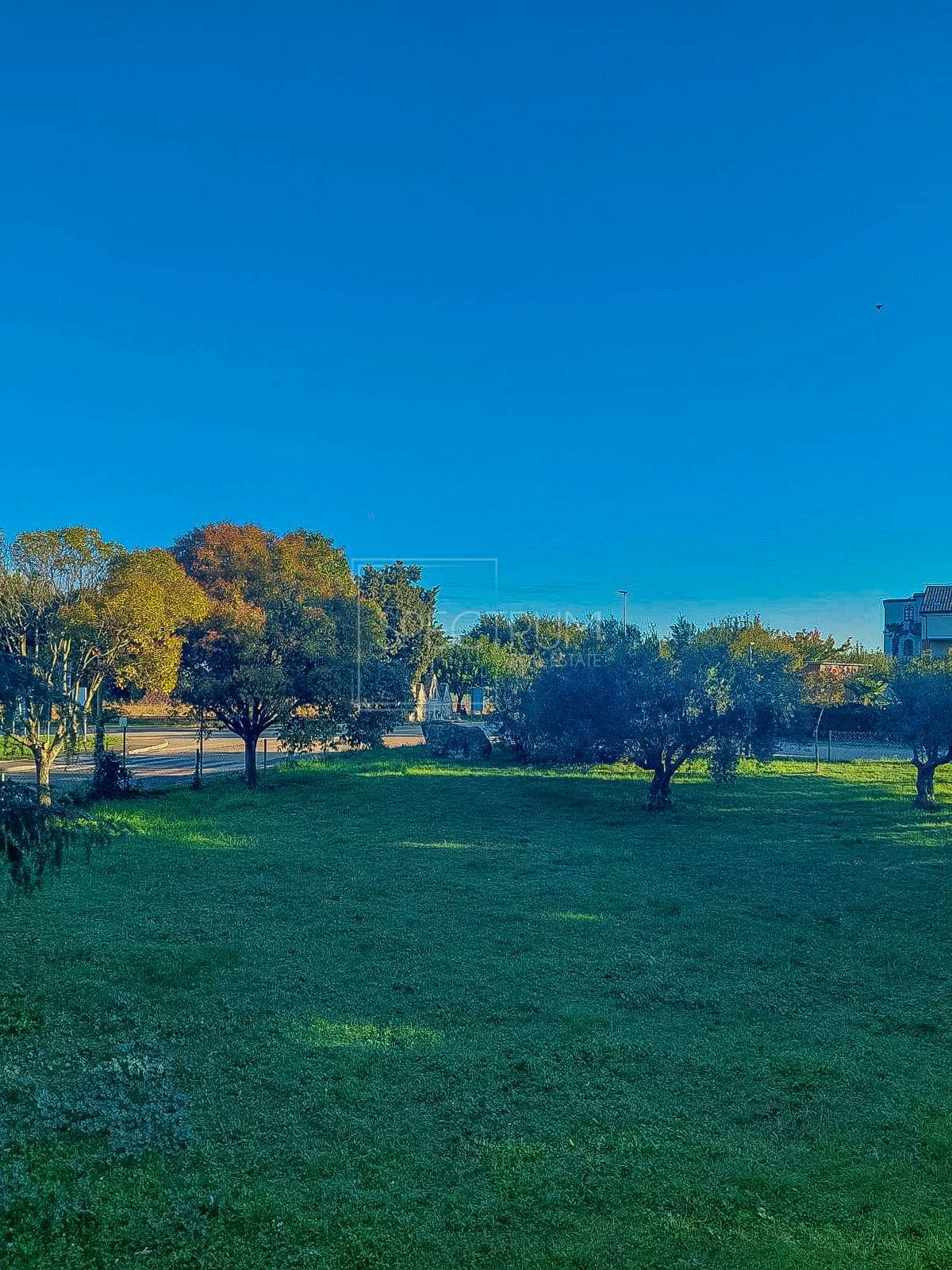 Novigrad, stanovanje s prostornim balkonom, 500 m od morja