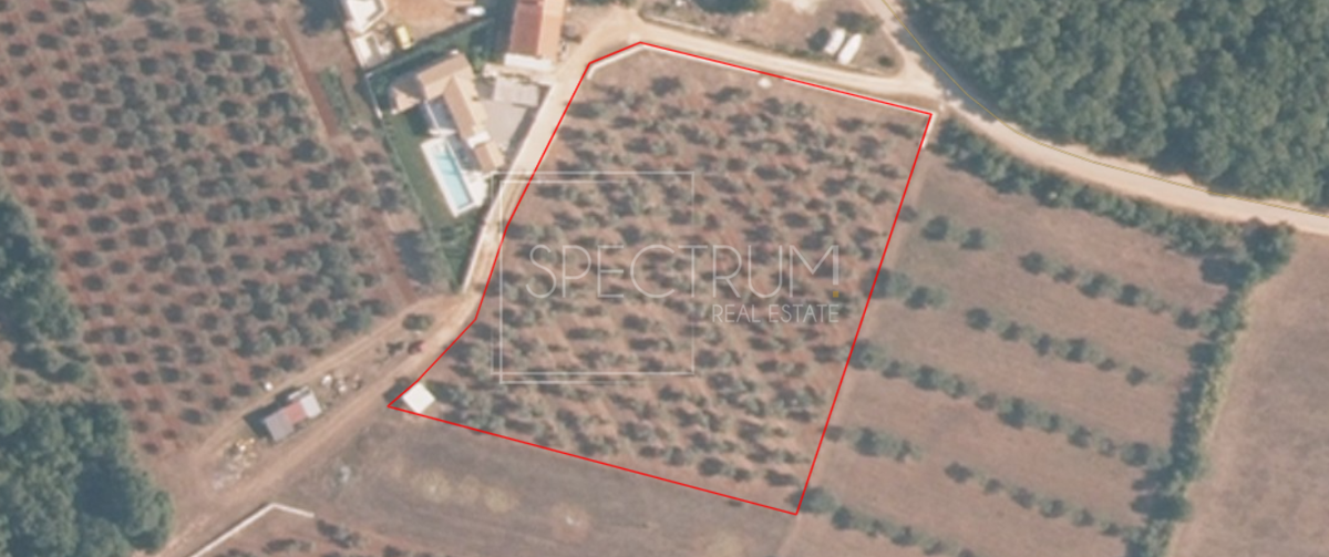 Okolica Umaga, prostorno zemljišče za investicijo!