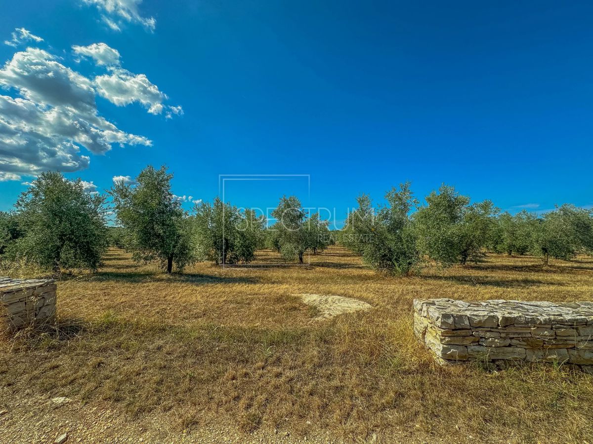 Okolica Umaga, prostorno zemljišče za investicijo!