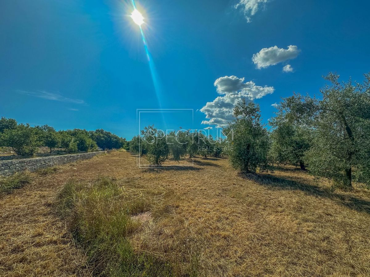 Okolica Umaga, prostorno zemljišče za investicijo!