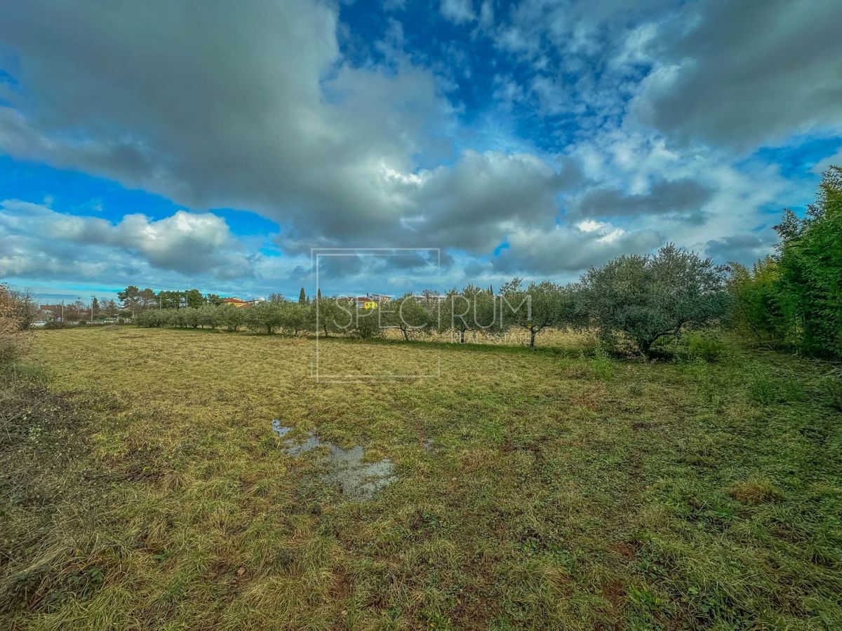 Umag, zemljišče na iskani lokaciji s potencialom