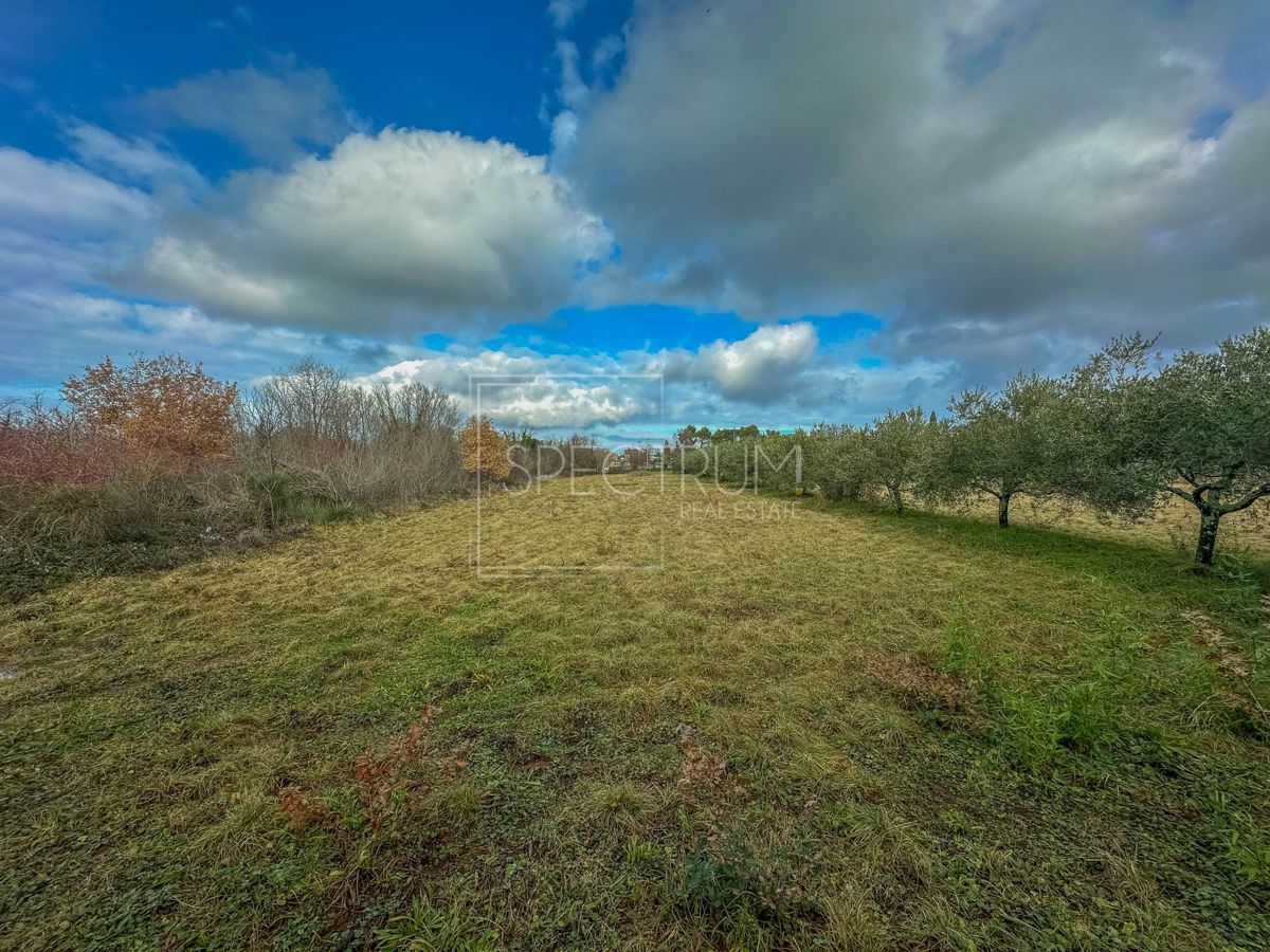 Umag, zemljišče na iskani lokaciji s potencialom