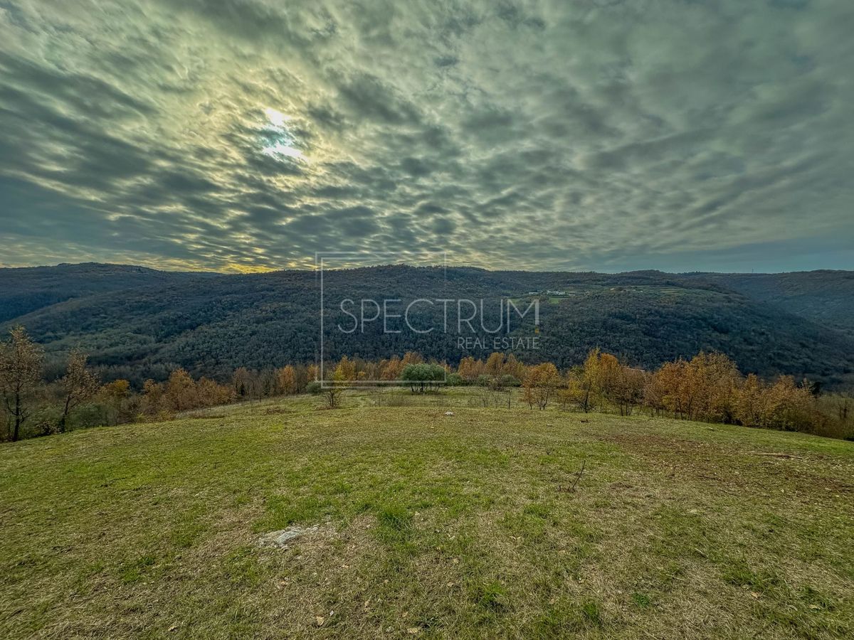 Motovun, gradbeno zemljišče s čudovitim razgledom