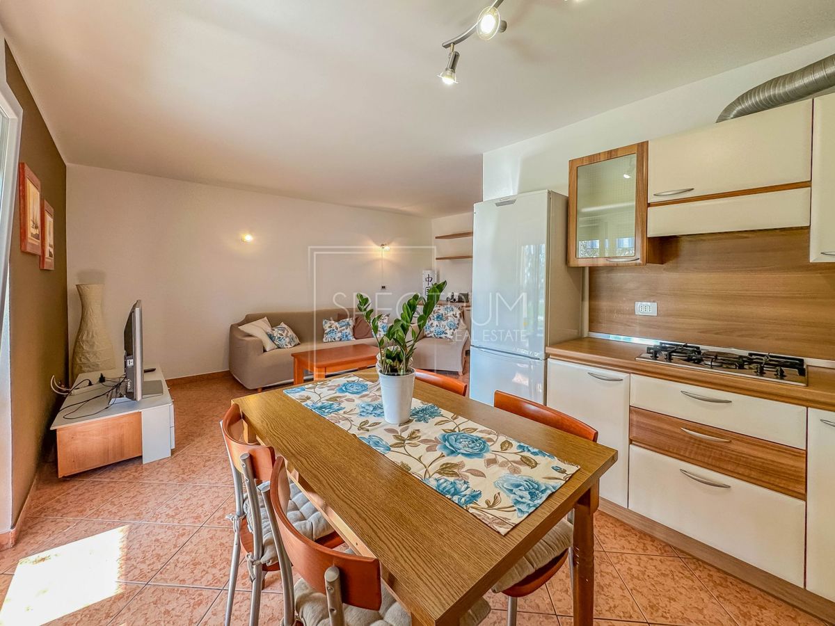 Novigrad, stanovanje v pritličju 350m od morja