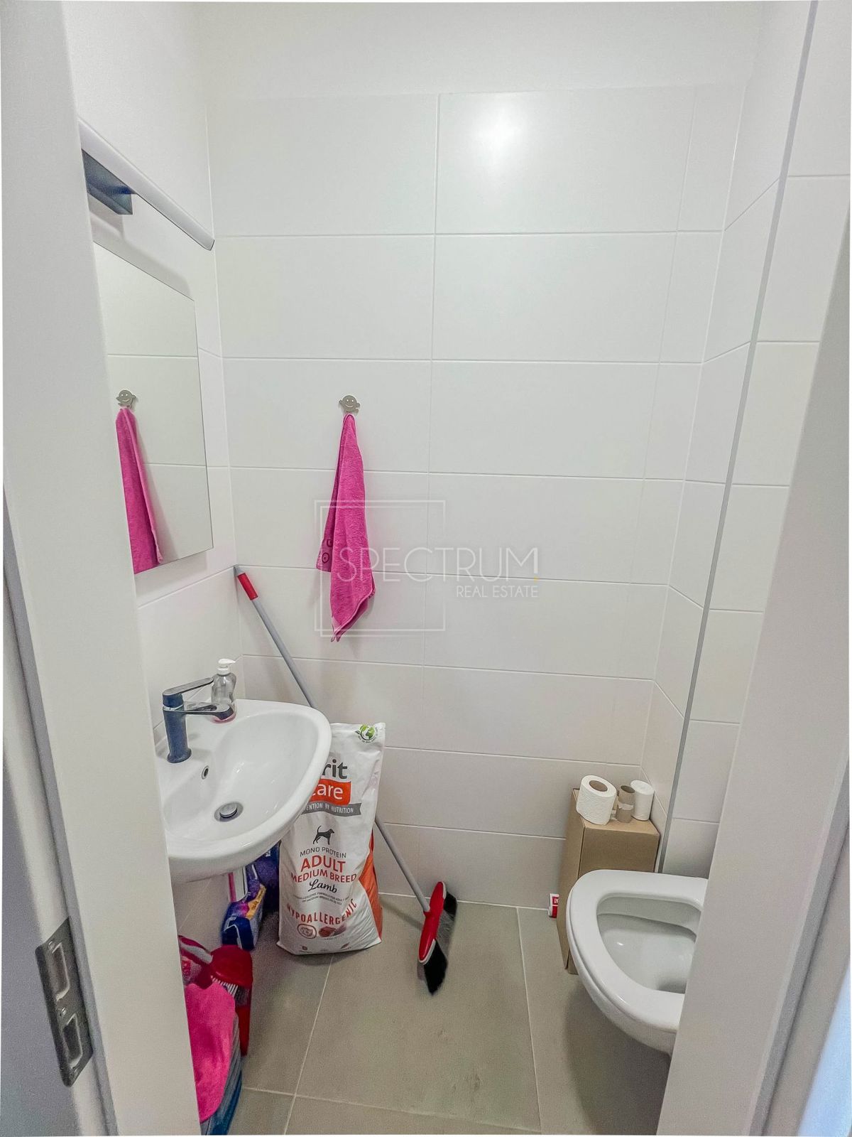 Novigrad, vrstna hiša z vrtom in pogledom na morje