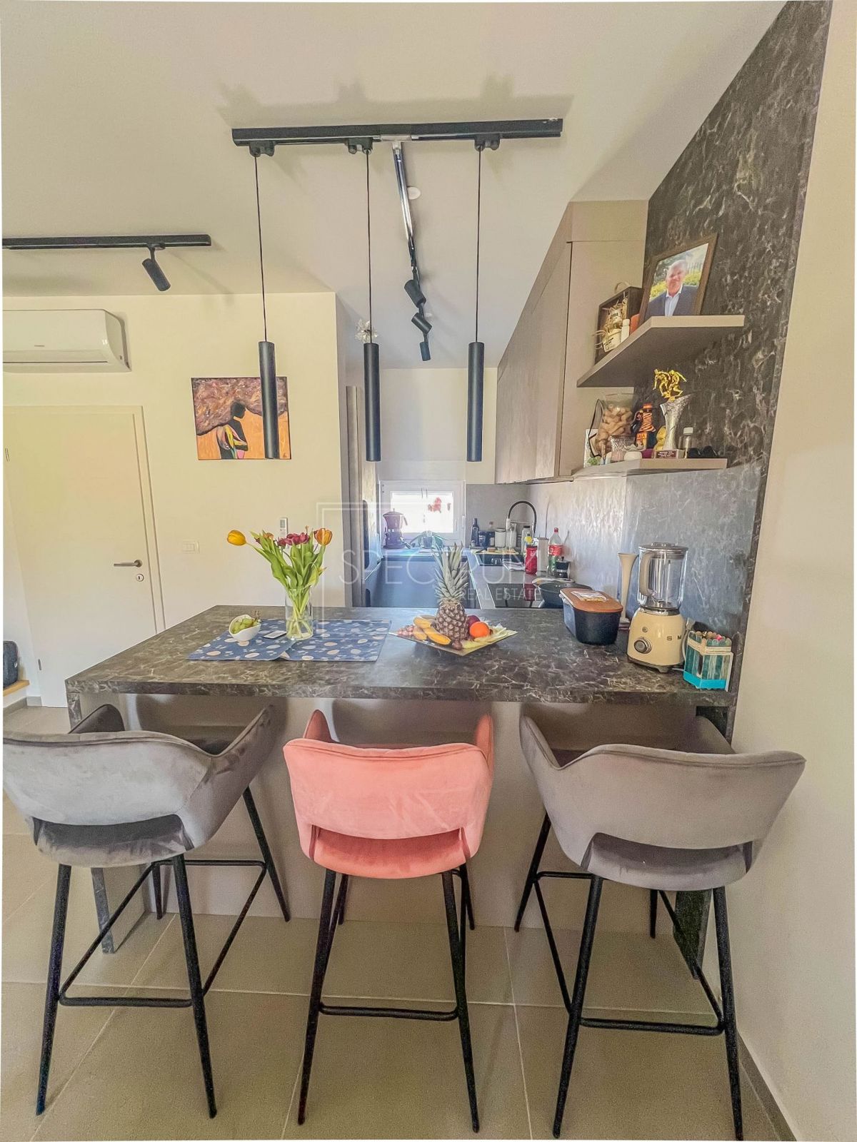 Novigrad, vrstna hiša z vrtom in pogledom na morje