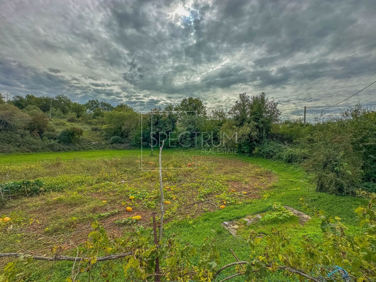 Okolica Grožnjana, samostojna hiša z veliko parcelo