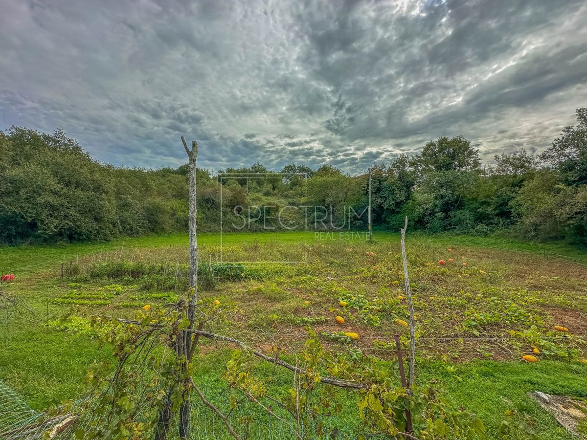 Okolica Grožnjana, samostojna hiša z veliko parcelo