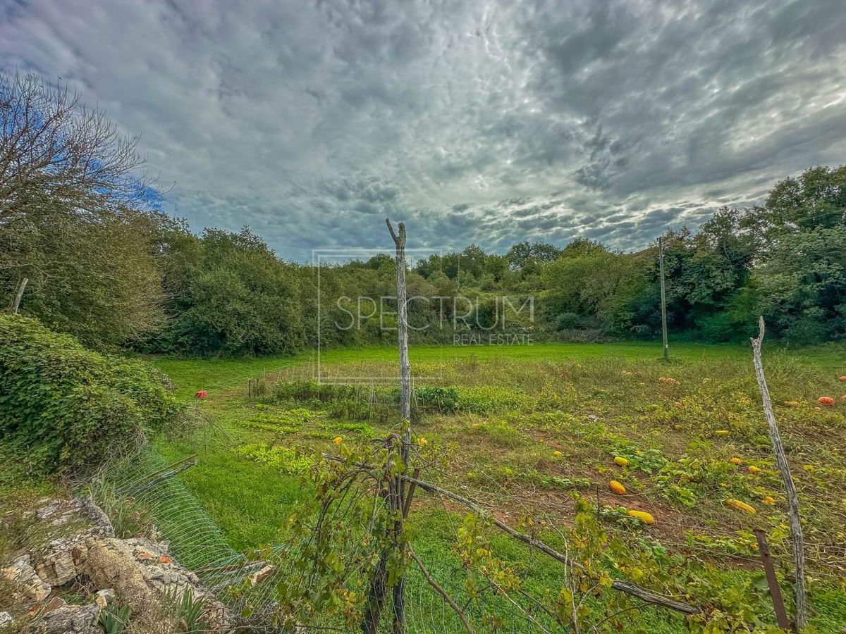 Okolica Grožnjana, samostojna hiša z veliko parcelo