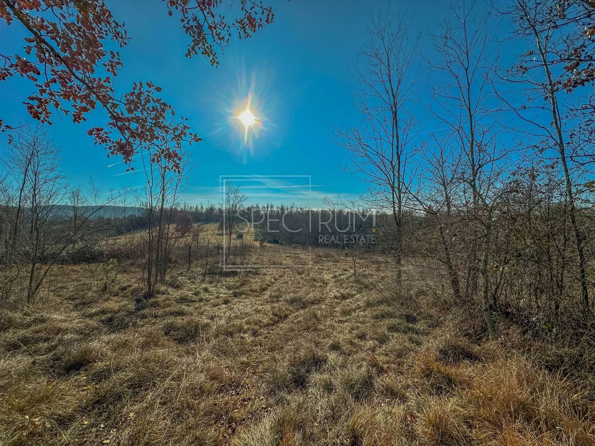 Območje Grožnjana, prostorno zemljišče na koncu vasi