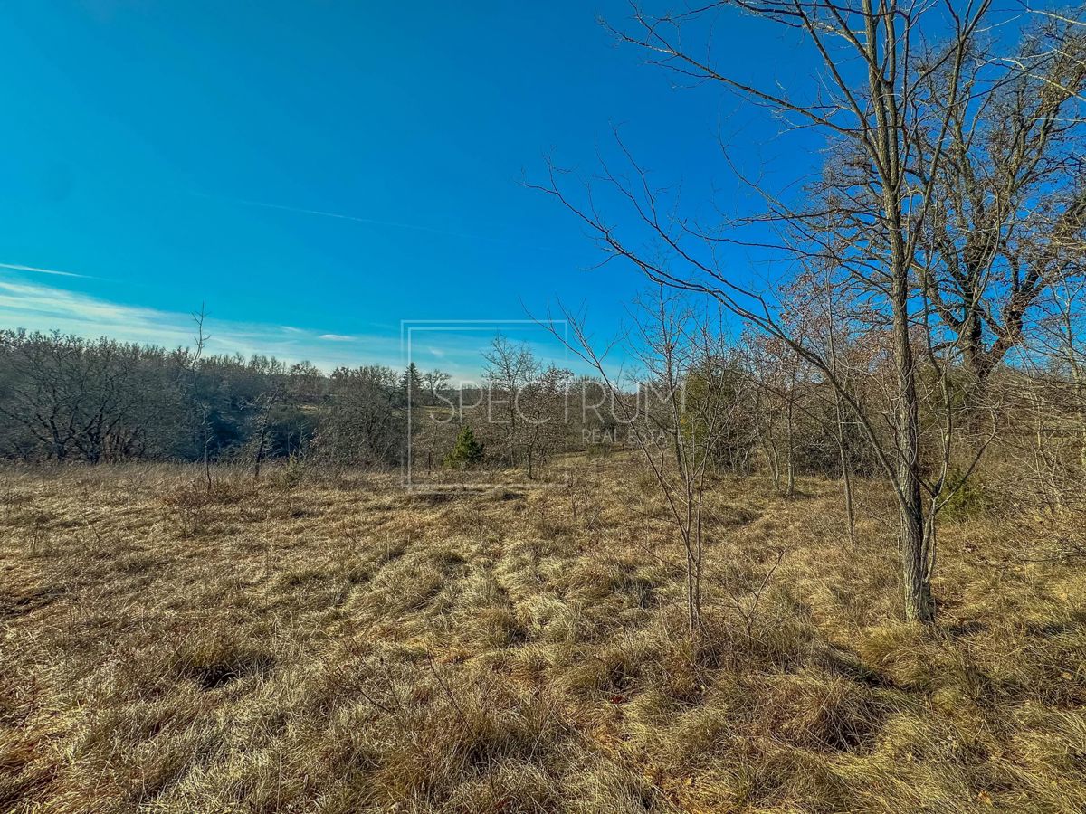 Območje Grožnjana, prostorno zemljišče na koncu vasi