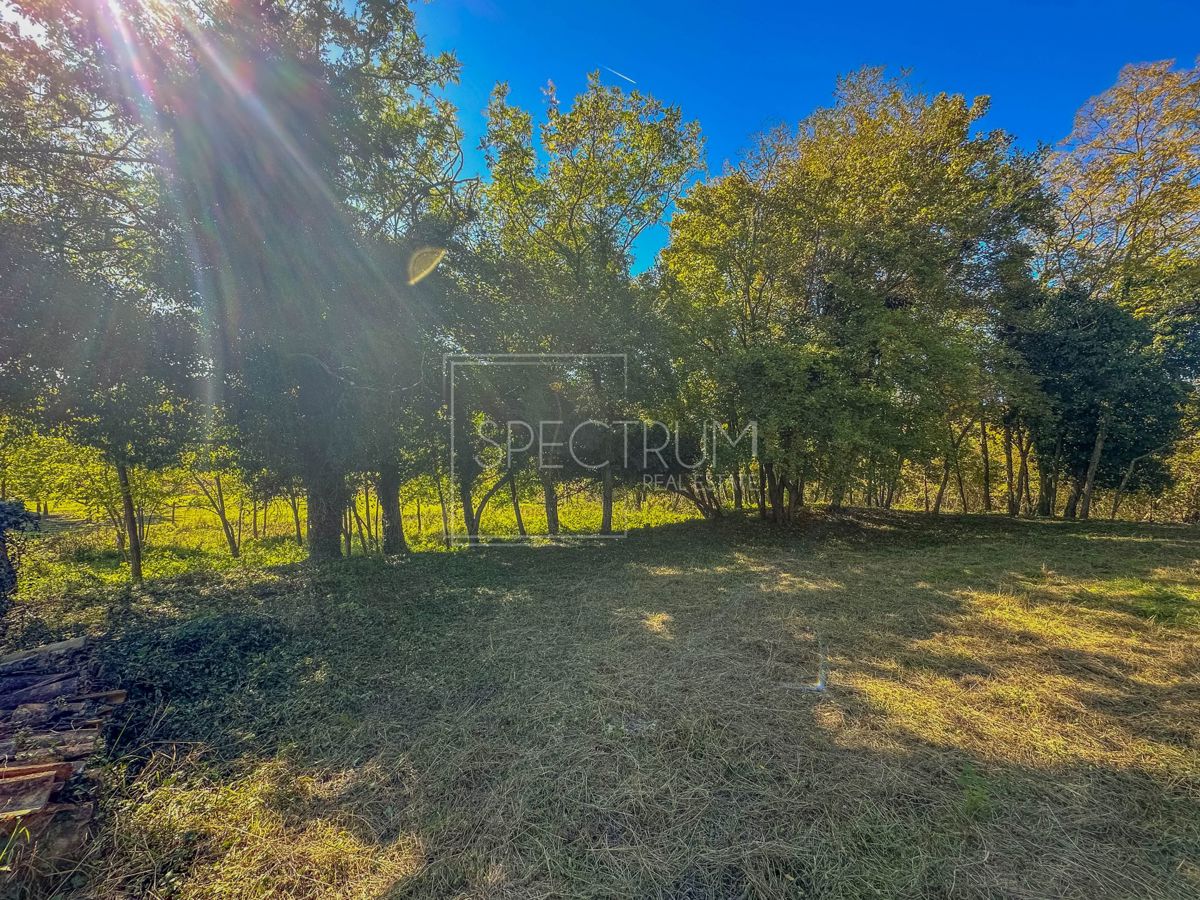 Okolica Grožnjana, kamnita hiša z veliko parcelo