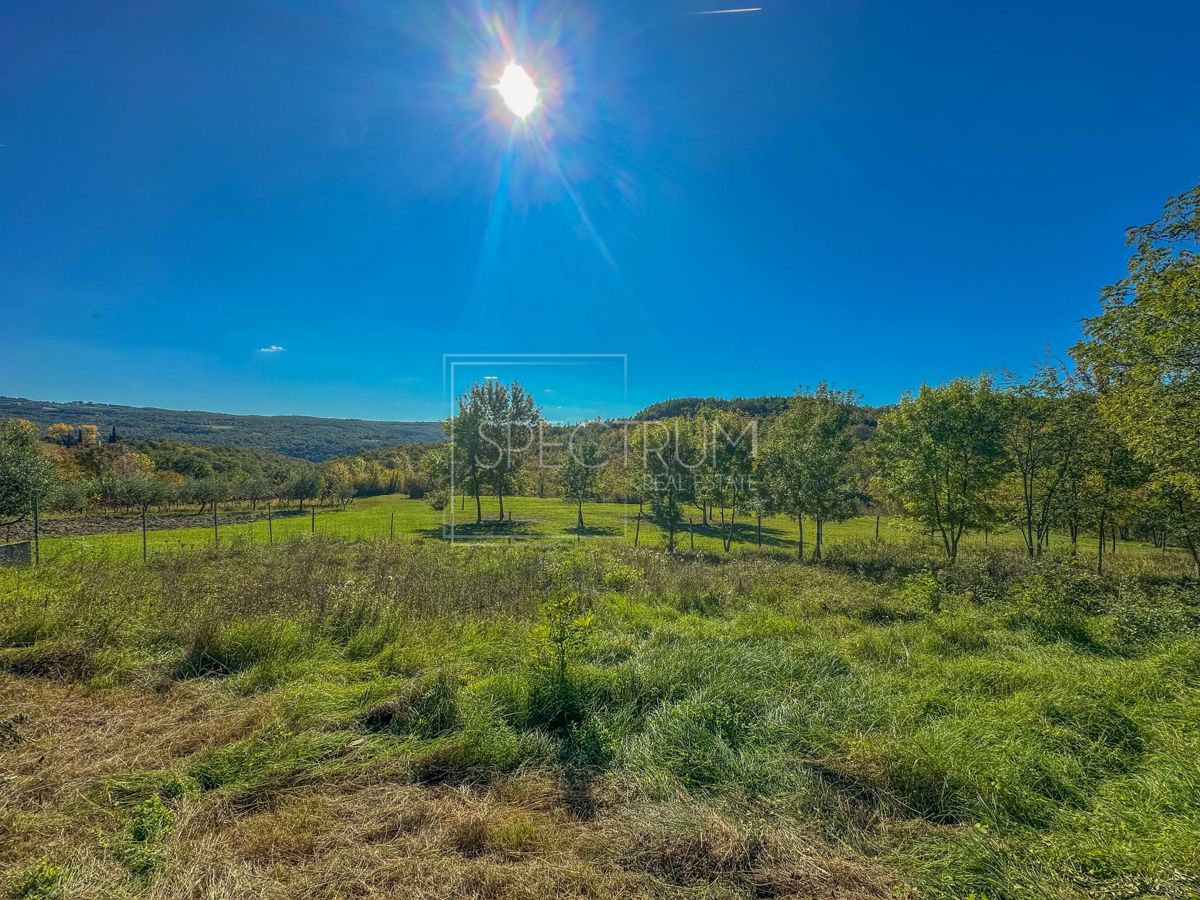 Okolica Grožnjana, kamnita hiša z veliko parcelo