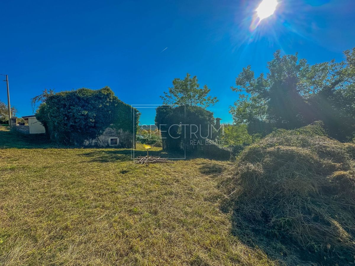 Okolica Grožnjana, kamnita hiša z veliko parcelo