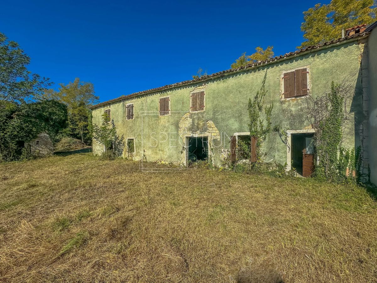 Okolica Grožnjana, kamnita hiša z veliko parcelo