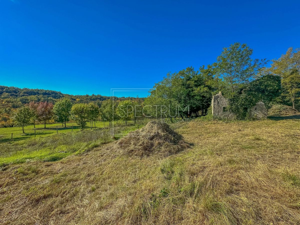 Okolica Grožnjana, kamnita hiša z veliko parcelo